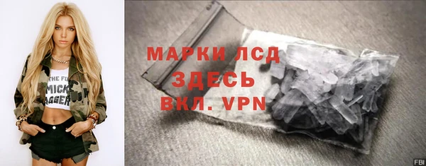 твердый Бородино