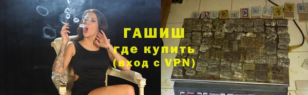 твердый Бородино