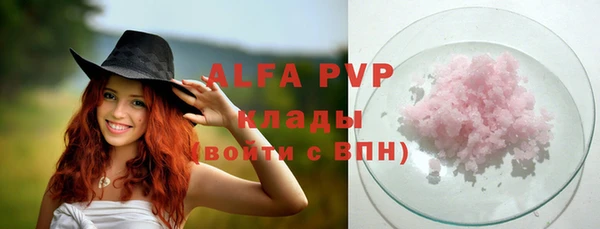 твердый Бородино