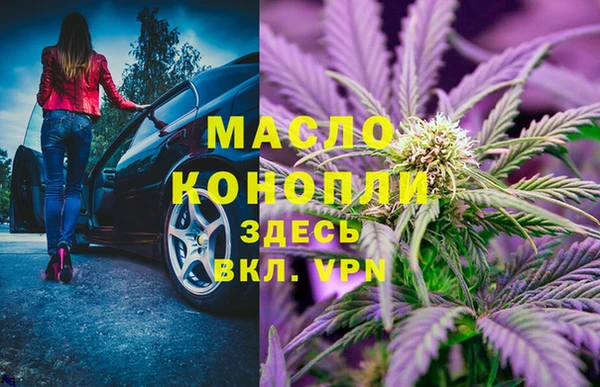 твердый Бородино