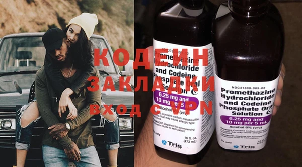 твердый Бородино
