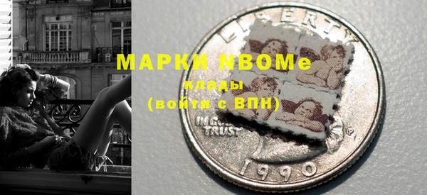 твердый Бородино