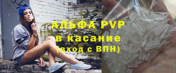 твердый Бородино
